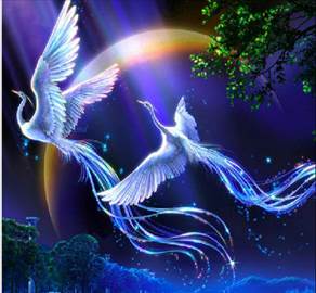 Khúc Phượng Cầu Hoàng * Sai Mon Thi Dan