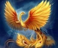 su-tich-phuong-hoang-2