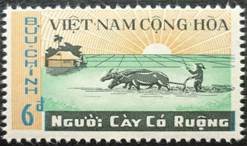 Image result for người c�y c� ruộng