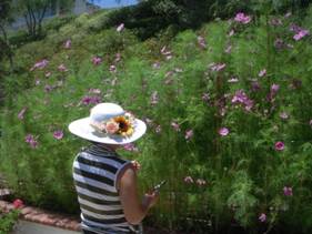 C:\Documents and Settings\Chanh\My Documents\My Pictures\picture 2 746.jpg